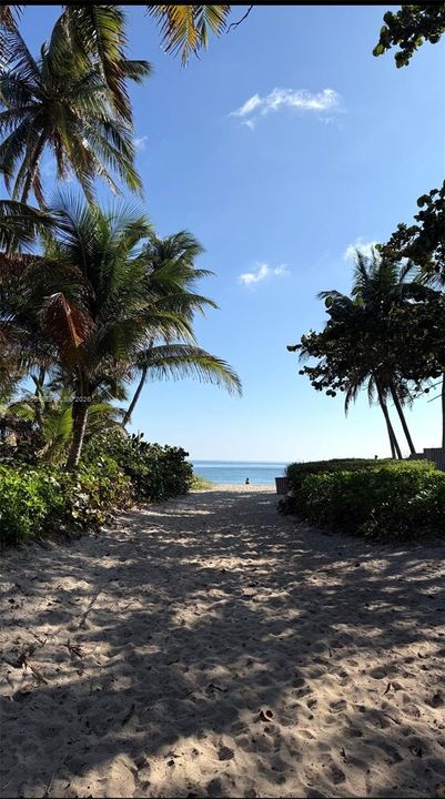 Beach