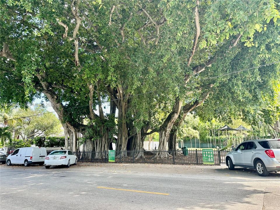 Alice Wainwright Mini Park nearby
