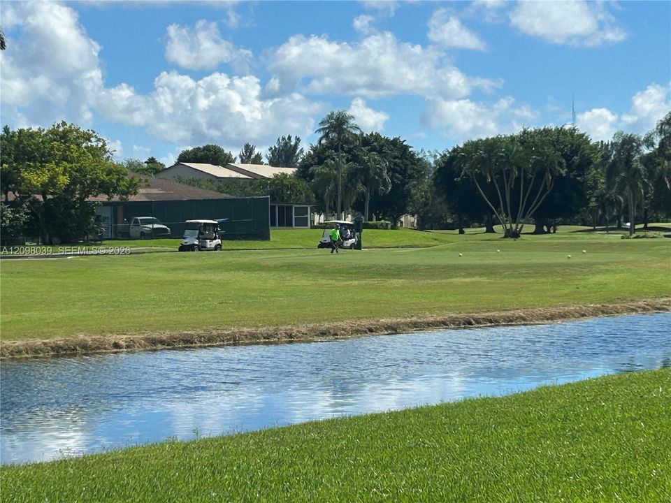 Expansive green space featuring a waterway, manicured turf, mature trees, and palm vegetation