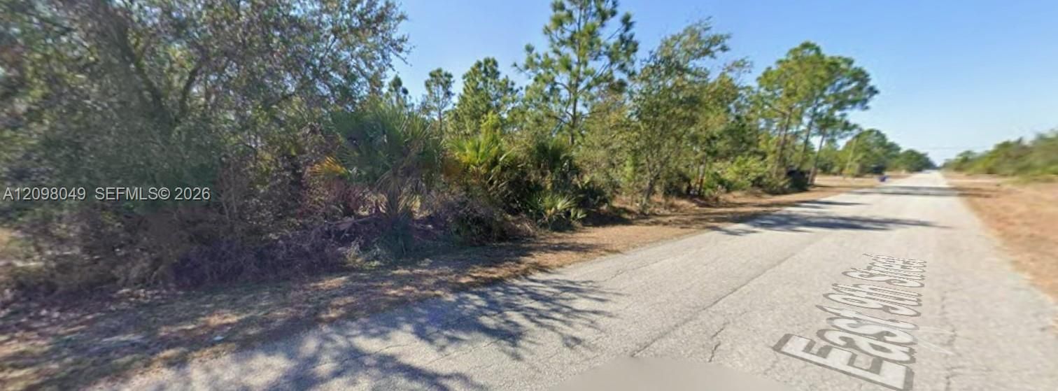 Vacant lot featuring mature native trees, dense natural vegetation, and paved street access