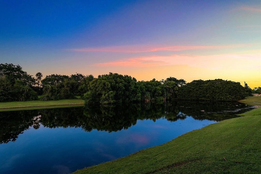 Twilight backyard
