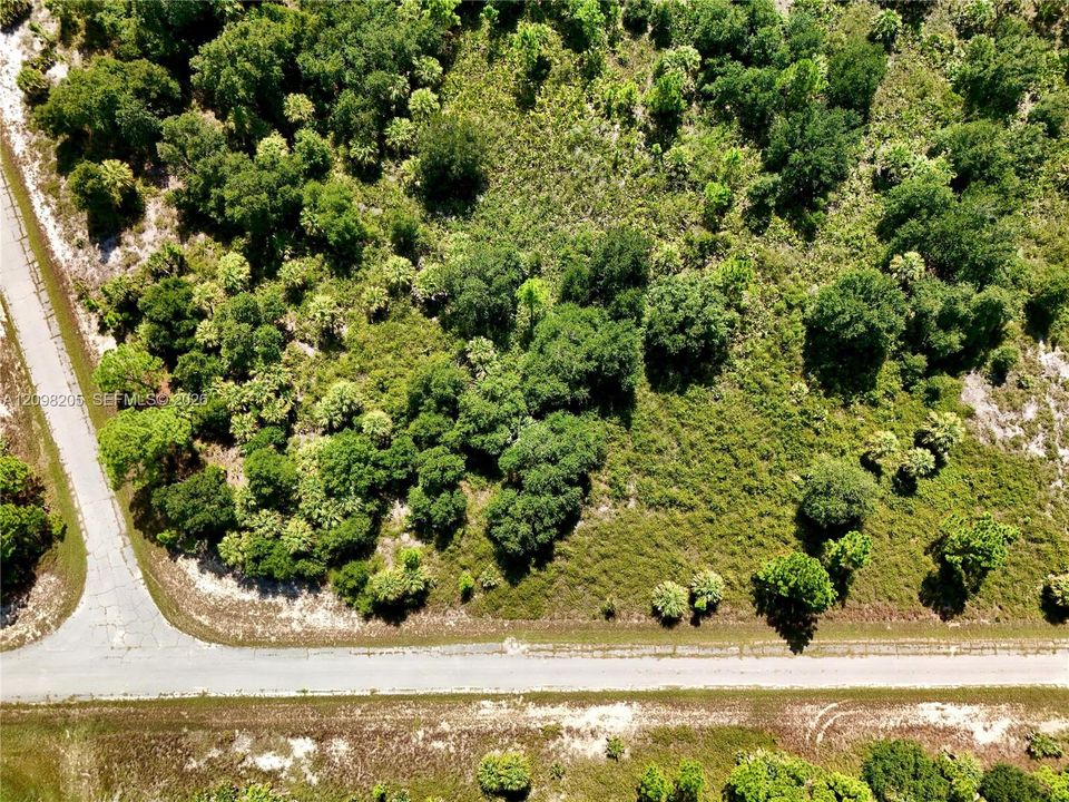 For Sale: $22,500 (0.25 acres)
