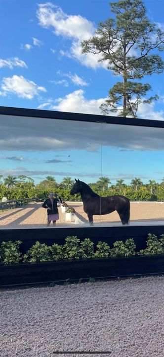 100' mirror wall