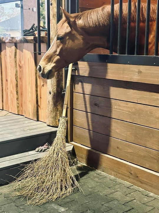 stall cleaner