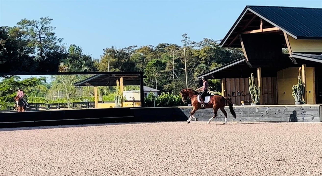 100' mirror wall