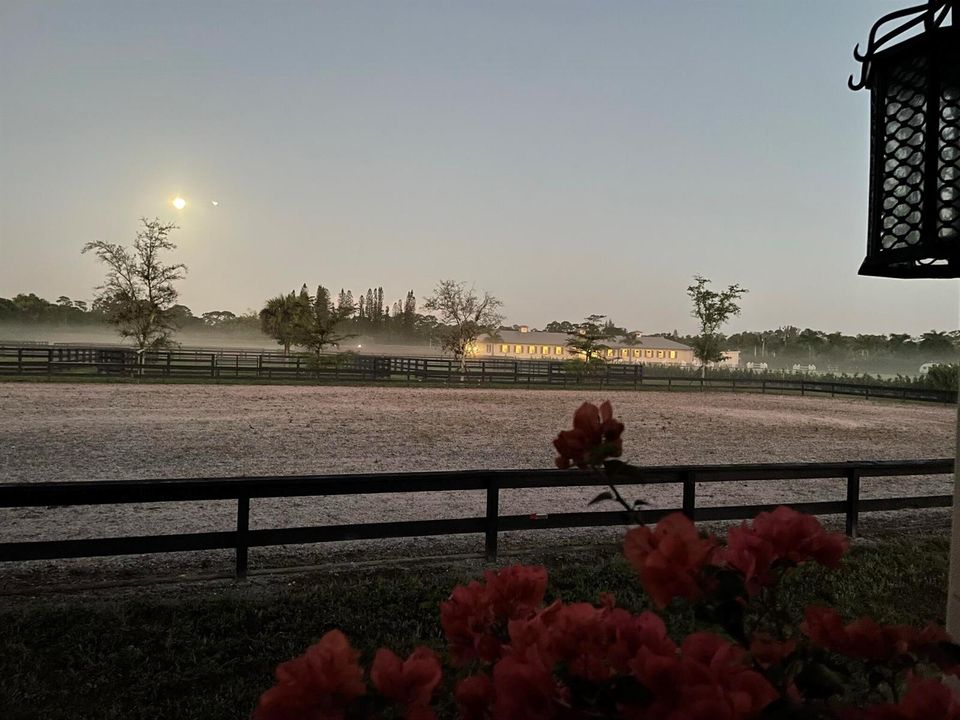 100x250' arena
