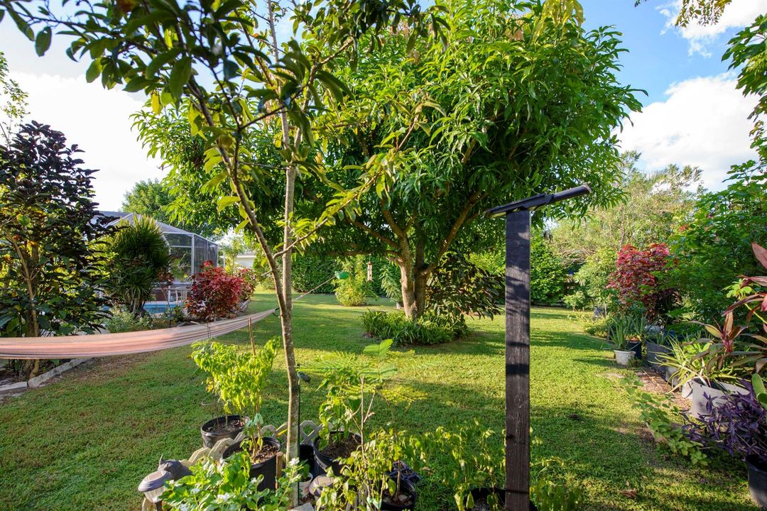 11- Backyard (7)