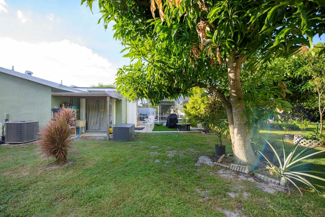 11- Backyard (3)