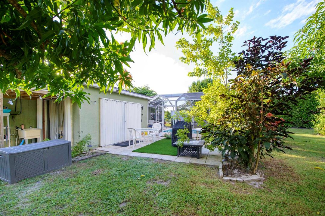 11- Backyard (5)