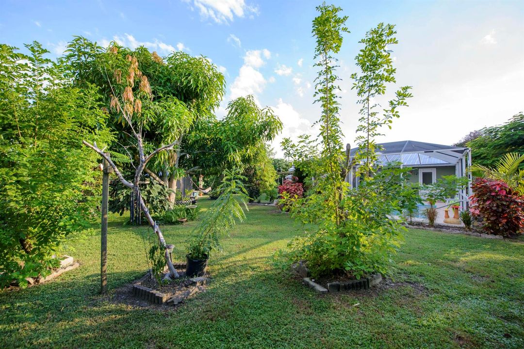 11- Backyard (10)