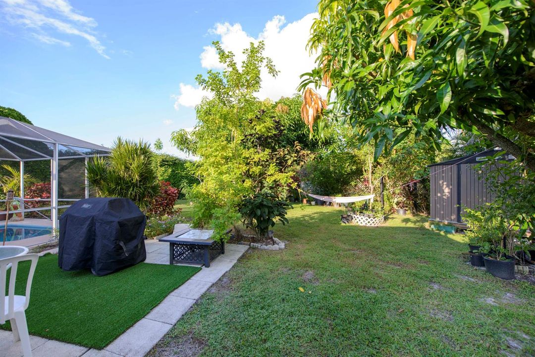 11- Backyard (4)