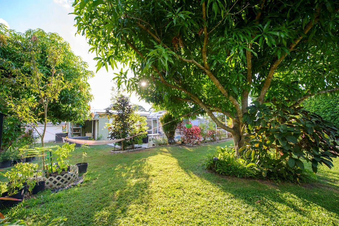 11- Backyard (8)