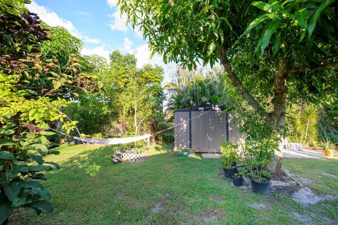 11- Backyard (13)
