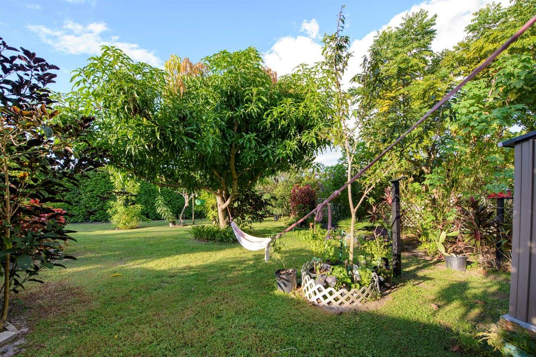 11- Backyard (6)