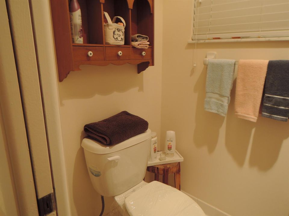 Toilet area of bath