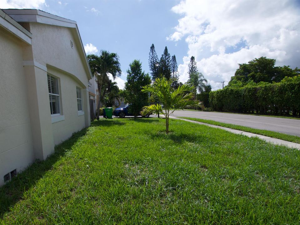 Yard