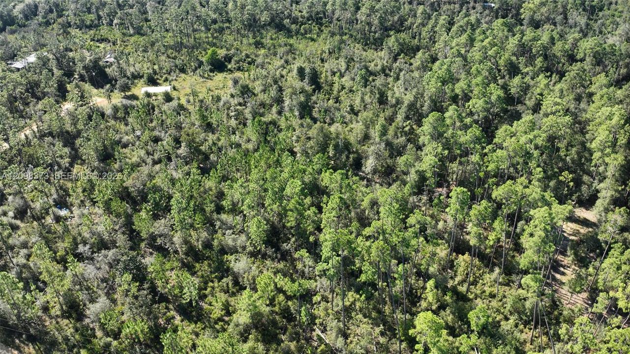 En Venta: $44,000 (5.02 acres)