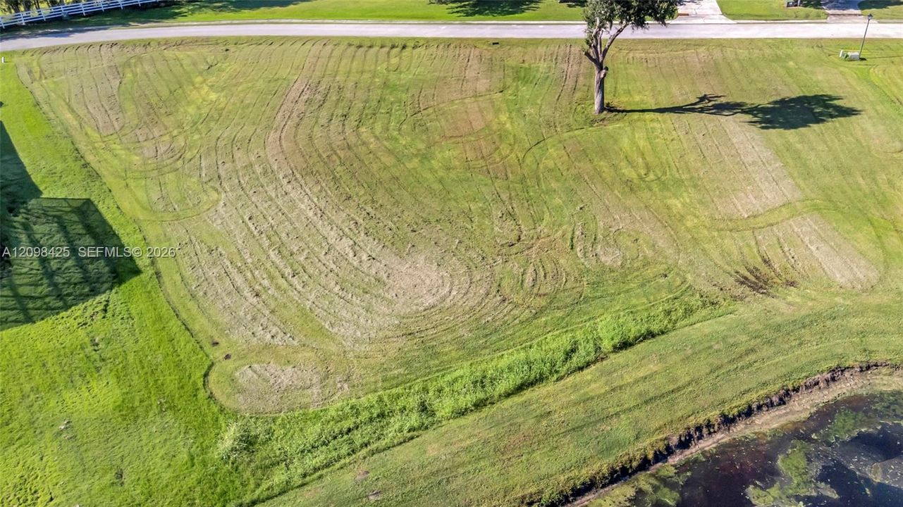 Expansive lot featuring open green space, a mature tree, and direct water frontage