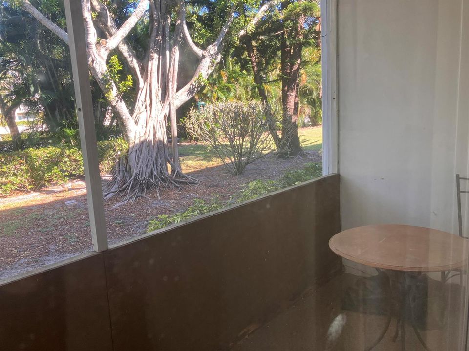 Patio view