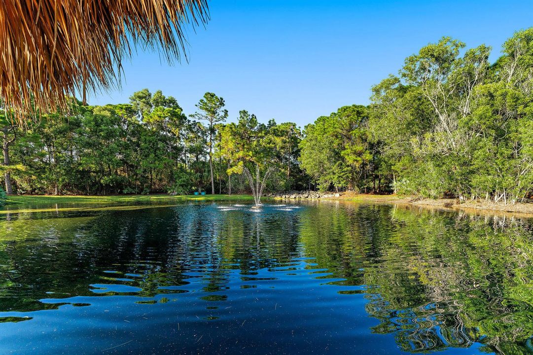 Peaceful Lakefront Setting