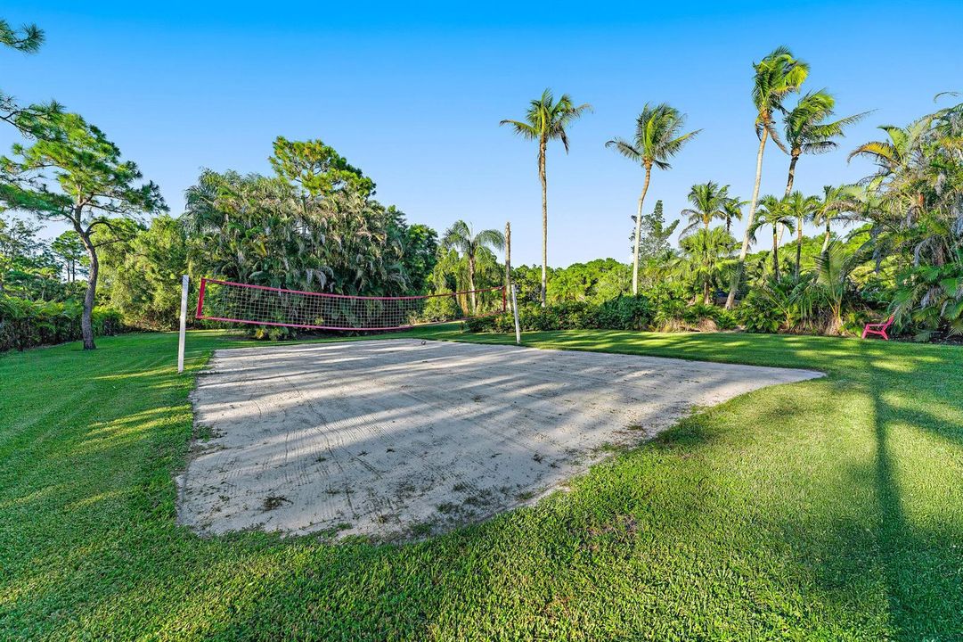 Volleyball Court