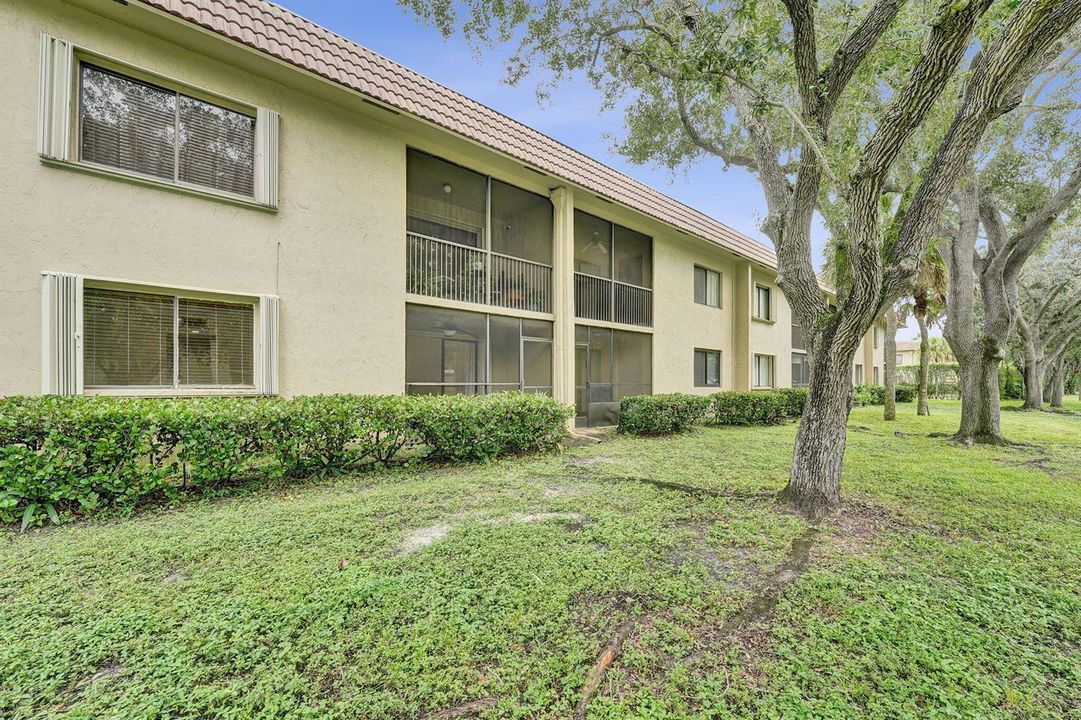 49-web-or-mls-DSC05372
