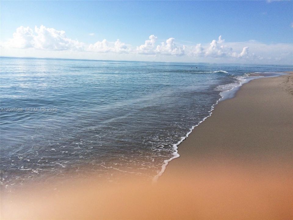 Beach