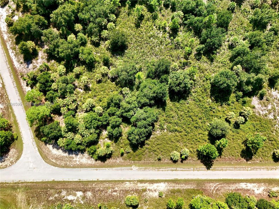 For Sale: $22,500 (0.25 acres)