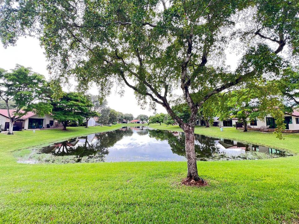 waterfront View
