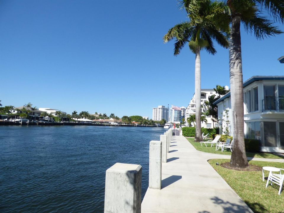 Panama Club 16