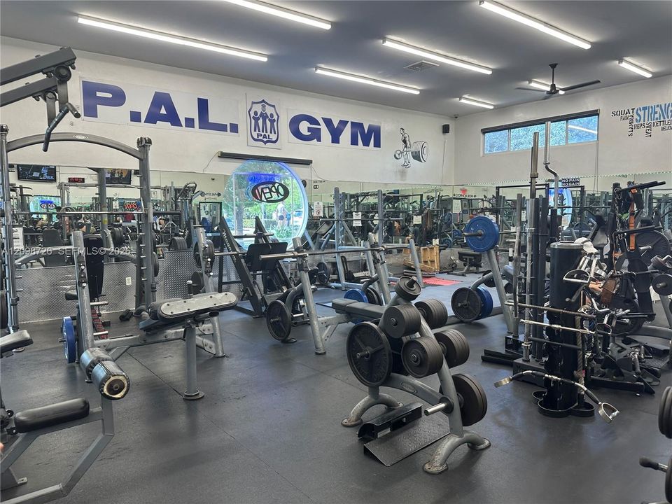 Pal Gym at Flamingo Park