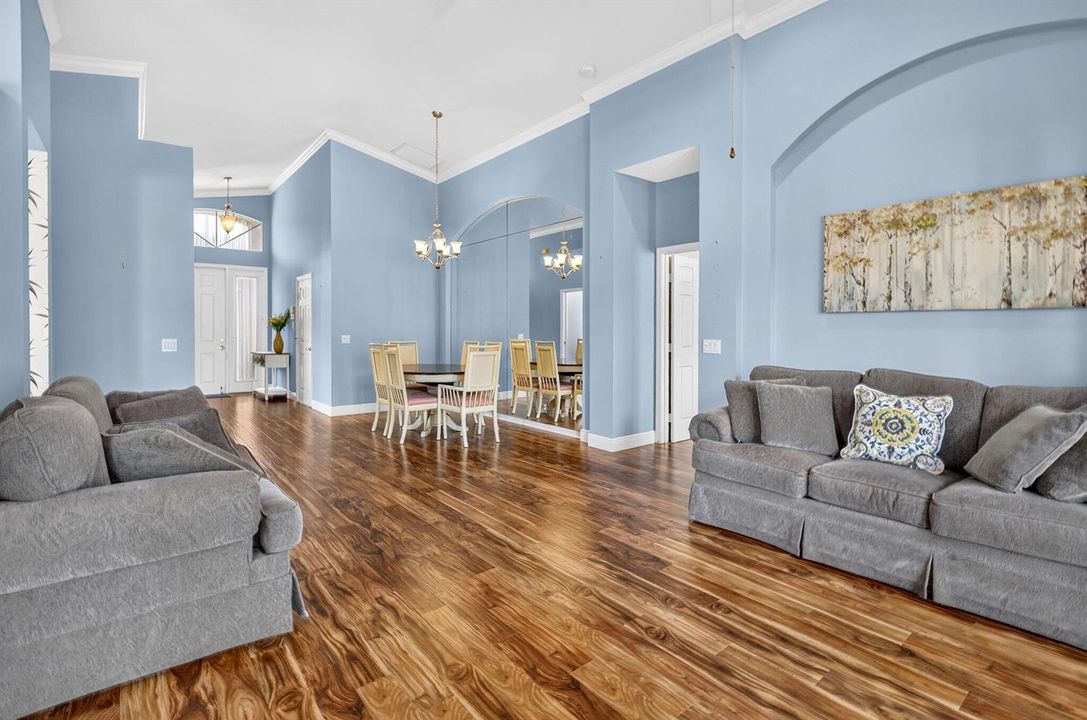 16-web-or-mls-5P1A2491