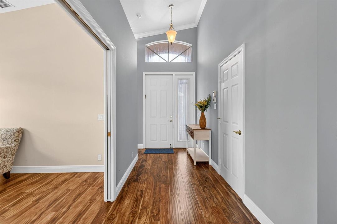 7-web-or-mls-5P1A2442
