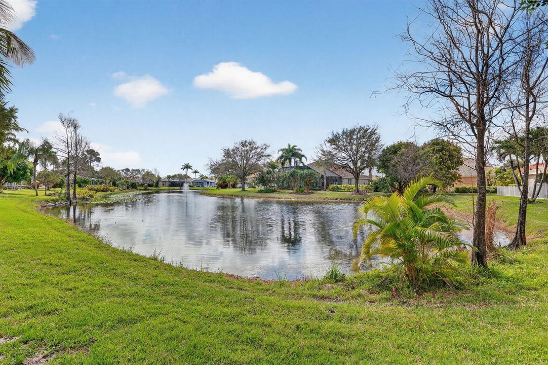 Lake view