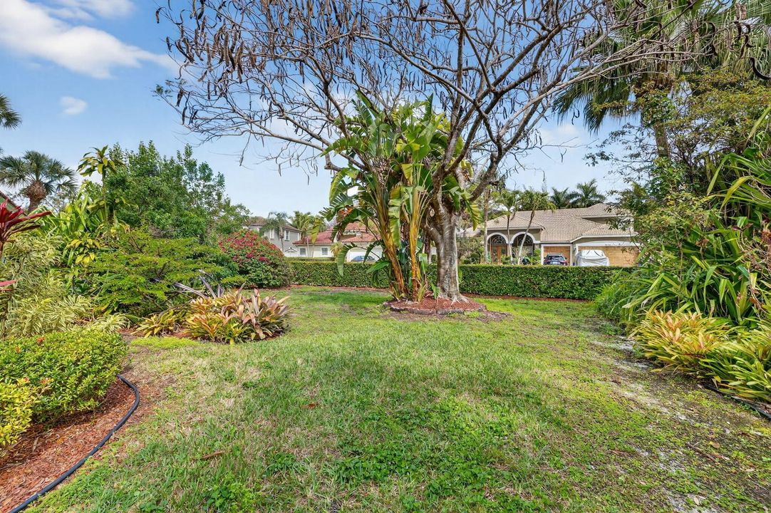 side yard