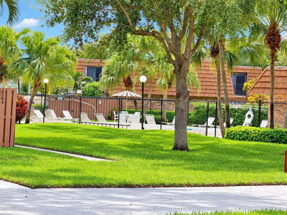 Sunny Community Pool with Tropical Lands