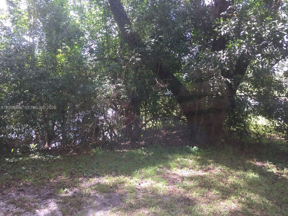 For Sale: $140,000 (1 beds, 1 baths, 633 Square Feet)