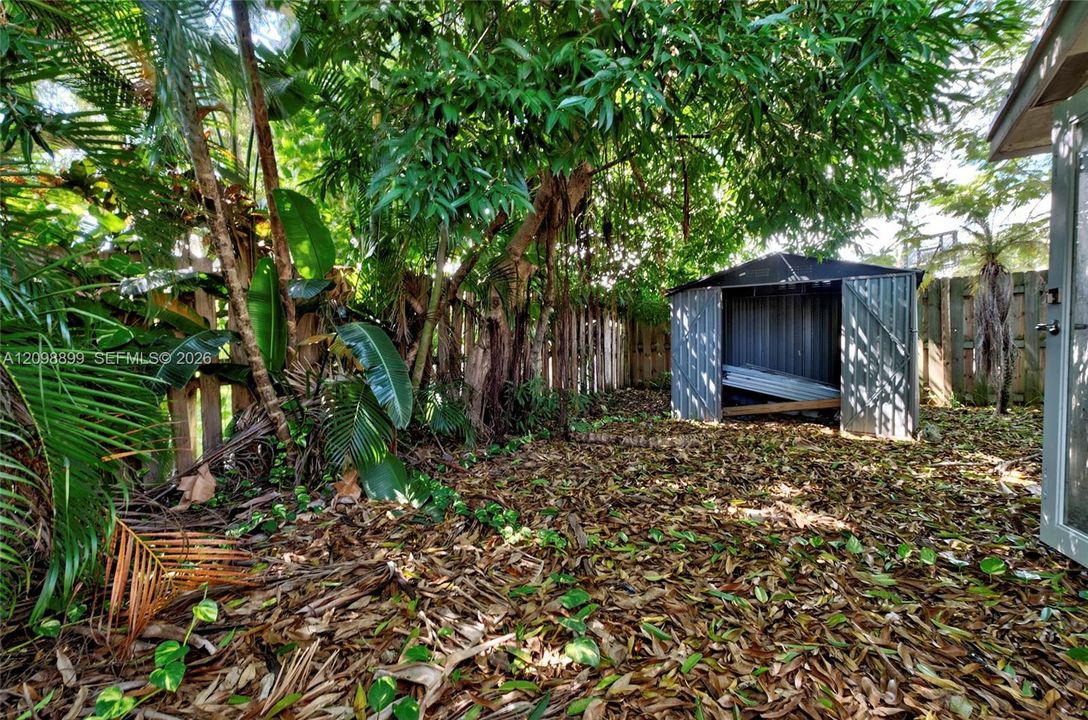 Outdoor space featuring a metal storage shed, wood fencing, and mature tropical trees