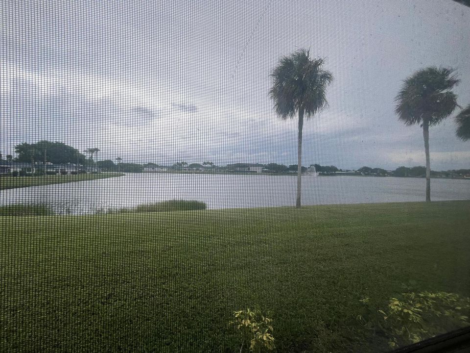 view from patio