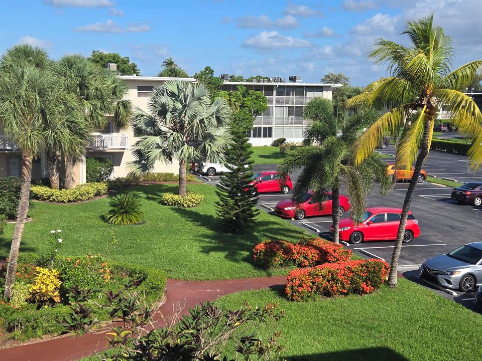 Grounds View