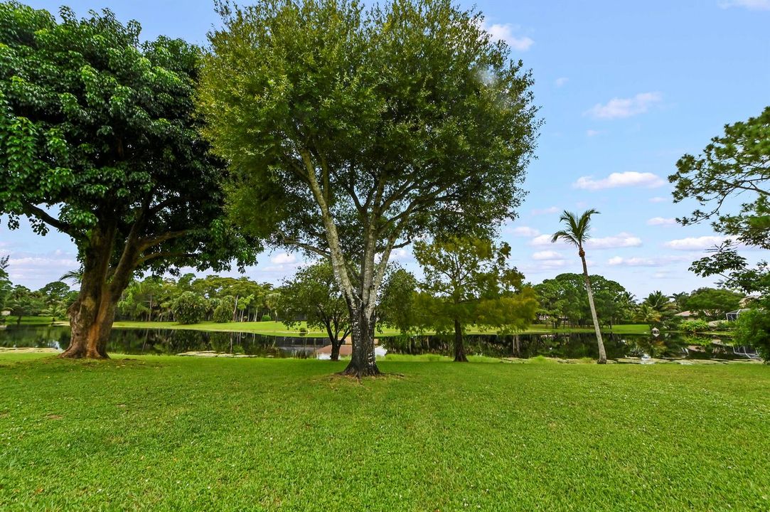 36 Backyard 01