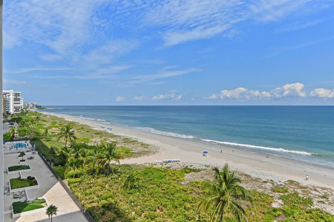 View to the North