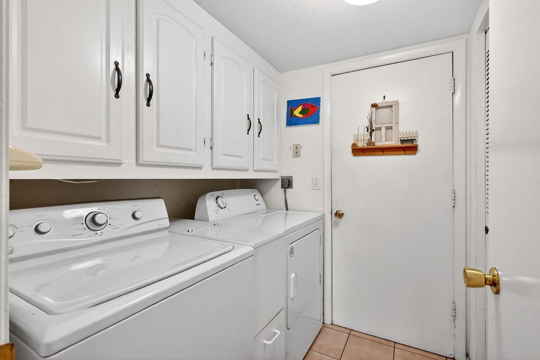 22-web-or-mls-5P1A8824