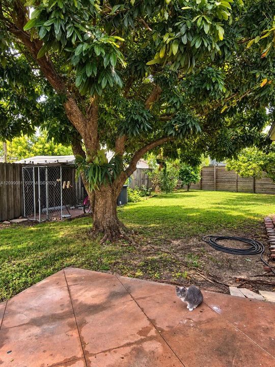 For Rent: $3,500 (4 beds, 2 baths, 1430 Square Feet)