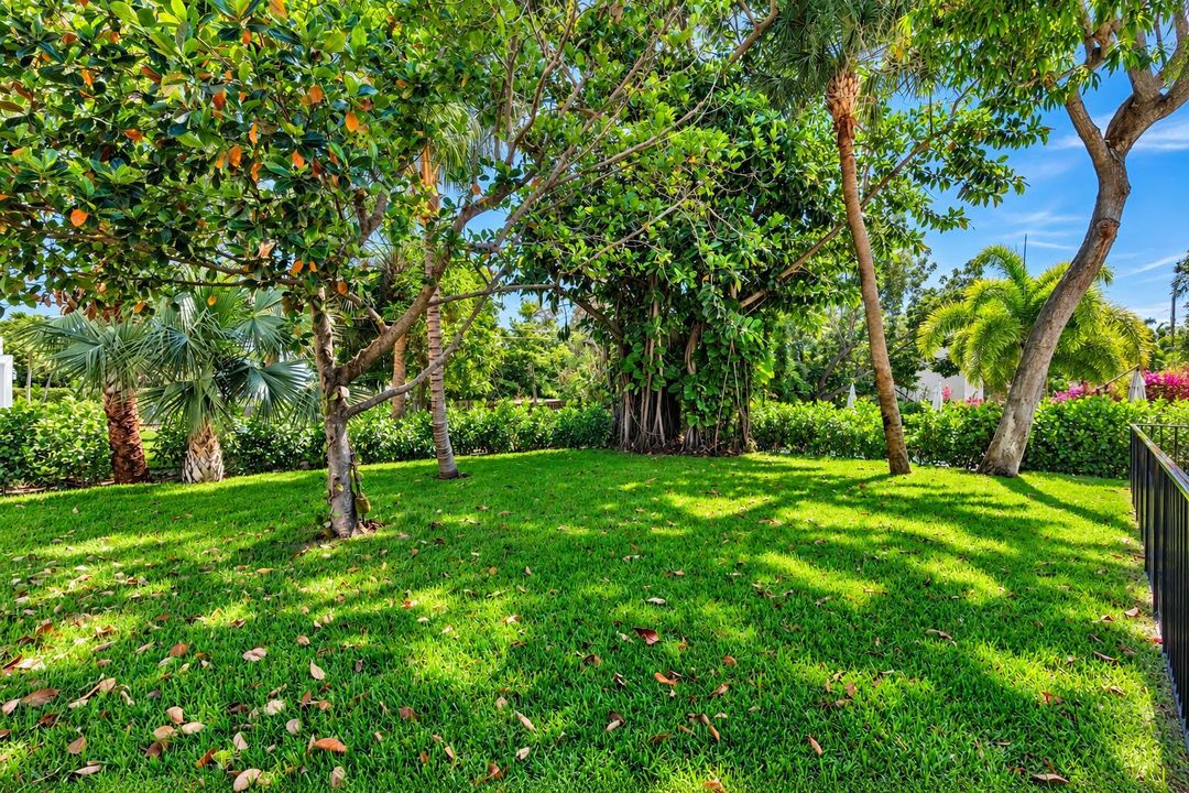 237 - Backyard