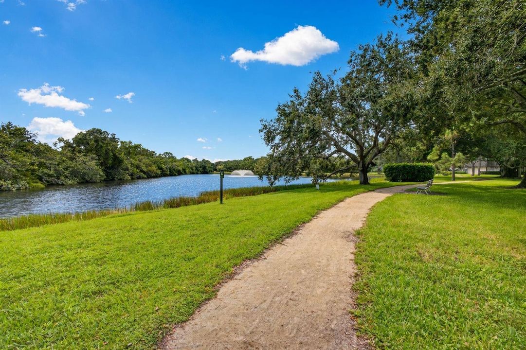 5-web-or-mls-SeA5B