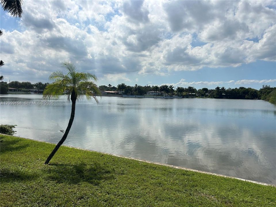 Waterfront lot featuring a grass lawn, mature palm tree, and bulkhead retaining wall