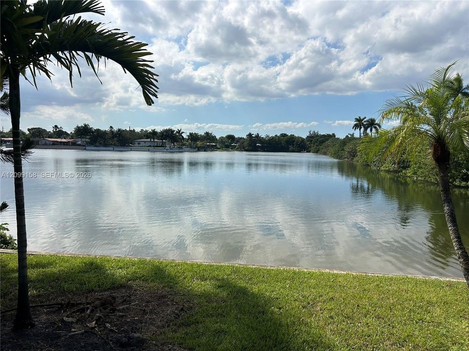 Waterfront property featuring a grass lawn, mature palm trees, and direct water access