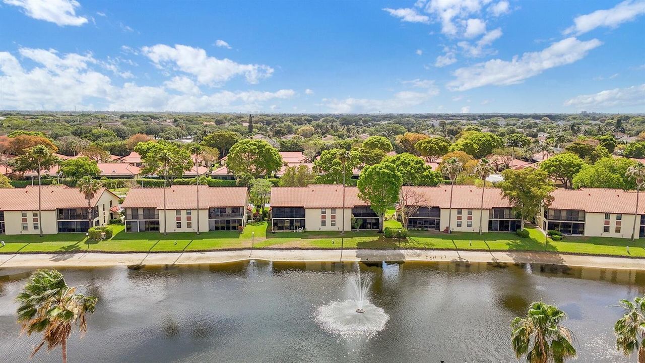 Aerial of BAck