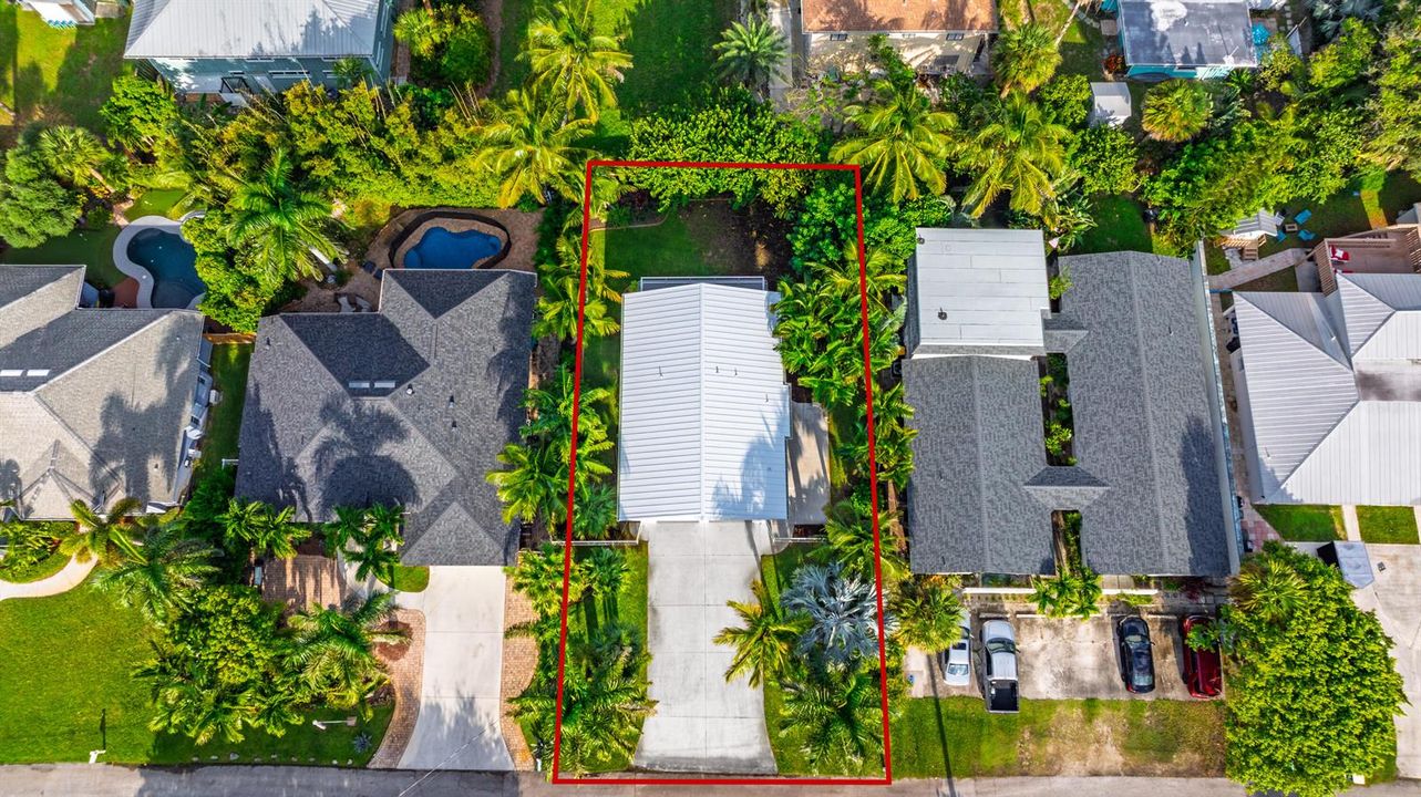 1116 Hernando Street Aerials-4_border